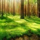 2026世界杯官方球票第二轮开售，热门场次申请人数突破2000万。，2026年世界杯什么时候开始